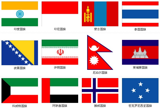 伦敦奥运会:世界各国国旗秀